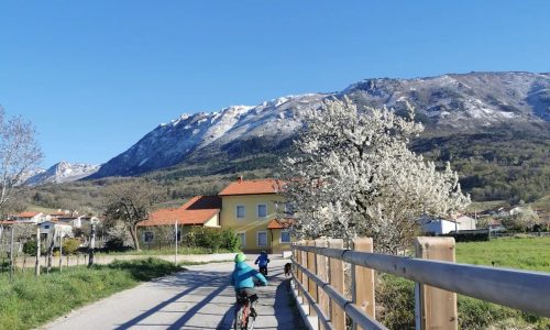 kamp vipavska dolina vrhpolje (13)